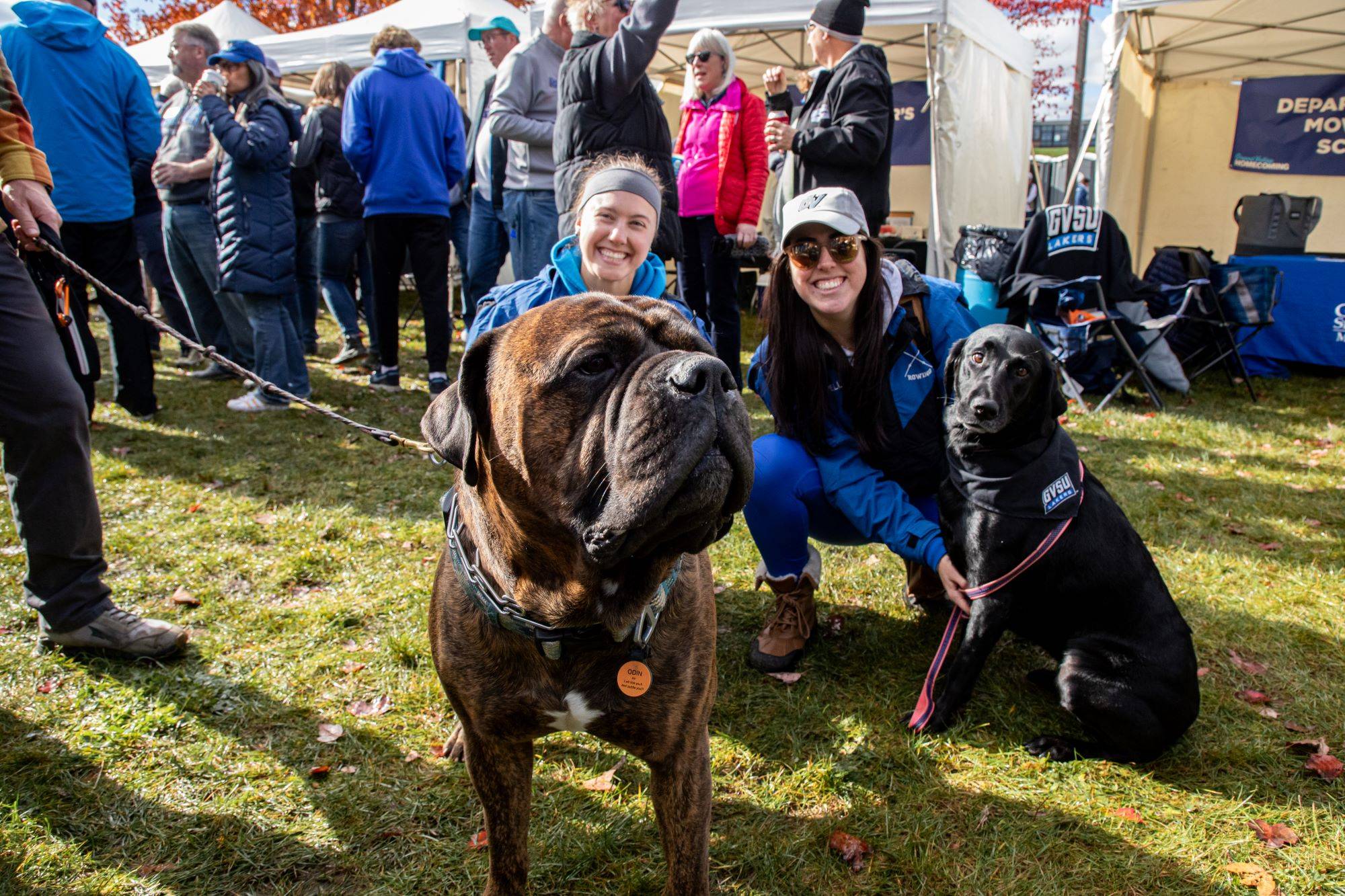 A group of alumni smile with President Mantella during a Homecoming tailgate wearing GV gear